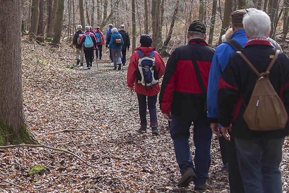 Zwei Wanderungen mit Werner Schnhofen