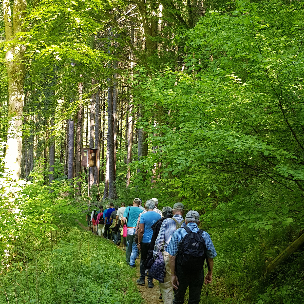 Wanderung durch die Felsgrabenschlucht