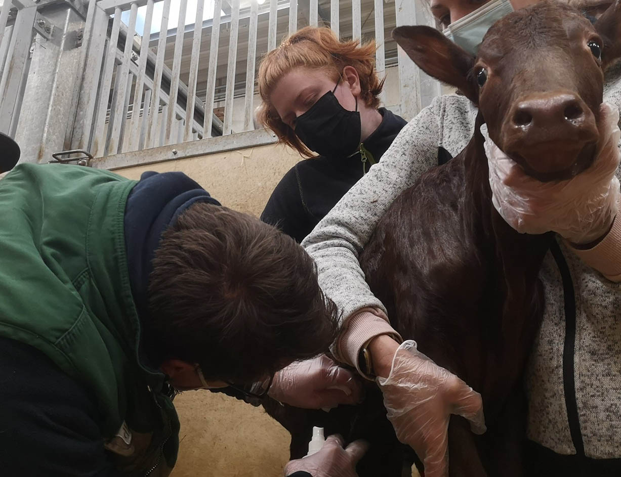 Zwischen Schreibtisch und tierischen Patienten im Zoo Neuwied