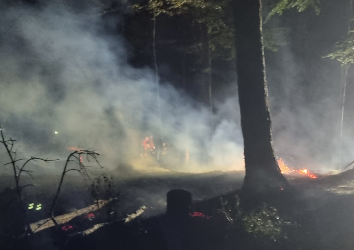 Waldbrand bei Waldbreitbach-Over: 3000 Quadratmeter erfolgreich gelscht