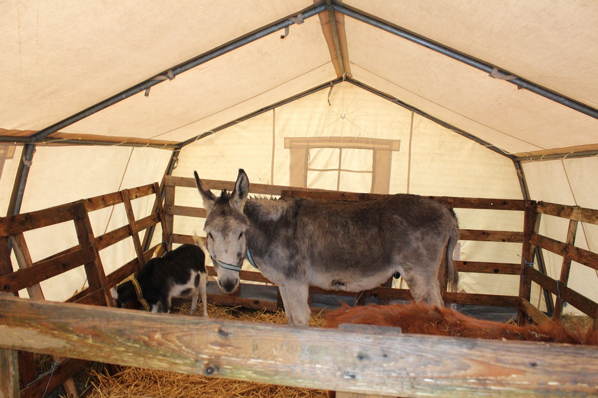 Beliebter Weihnachtsmarkt in Drrholz findet wieder statt