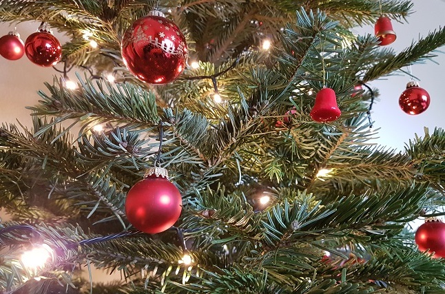 Weihnachtsbume im Kreis Altenkirchen werden wieder kostenlos abgeholt