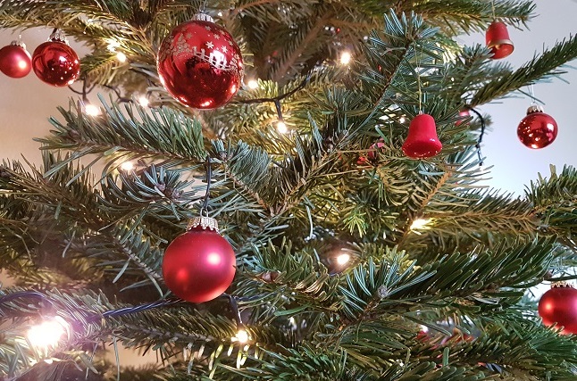 Mllabfuhr holt Weihnachtsbume kostenlos ab