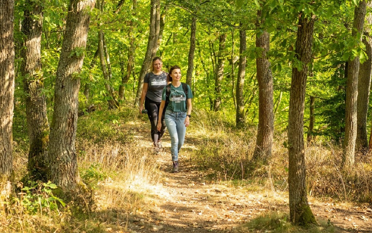 Den Hachenburger Westerwald mit der neuen Rad- und Wanderbroschre entdecken