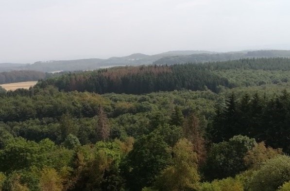 (Foto: Westerwald-Verein Selters)
