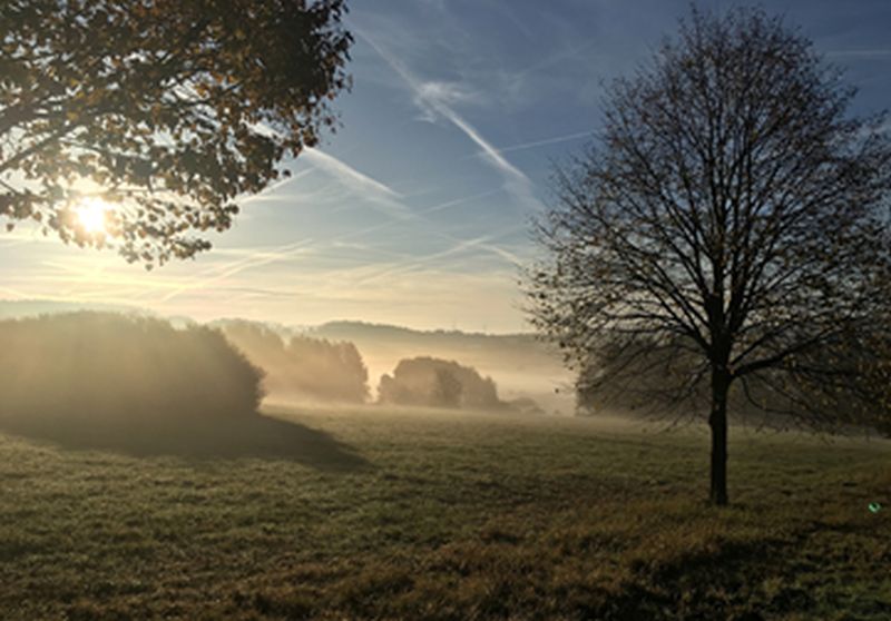 Die Grenzen des Westerwaldes erwandern mit dem Westerwald-Verein