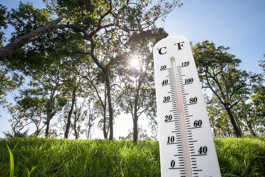 Sonnig und warm: Der Sommer ist im Westerwald angekommen