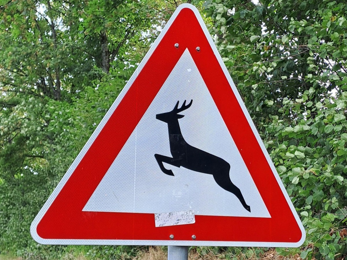 Verkehrszeichen Wildwechsel (Foto: ACE Auto Club Europa e.V./Volker Schork)
