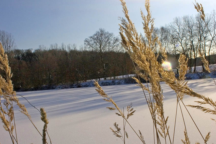 Ein solches Bild an Weihnachten wird sehr wahrscheinlich ein Traum bleiben. Foto: Wolfgang Tischler