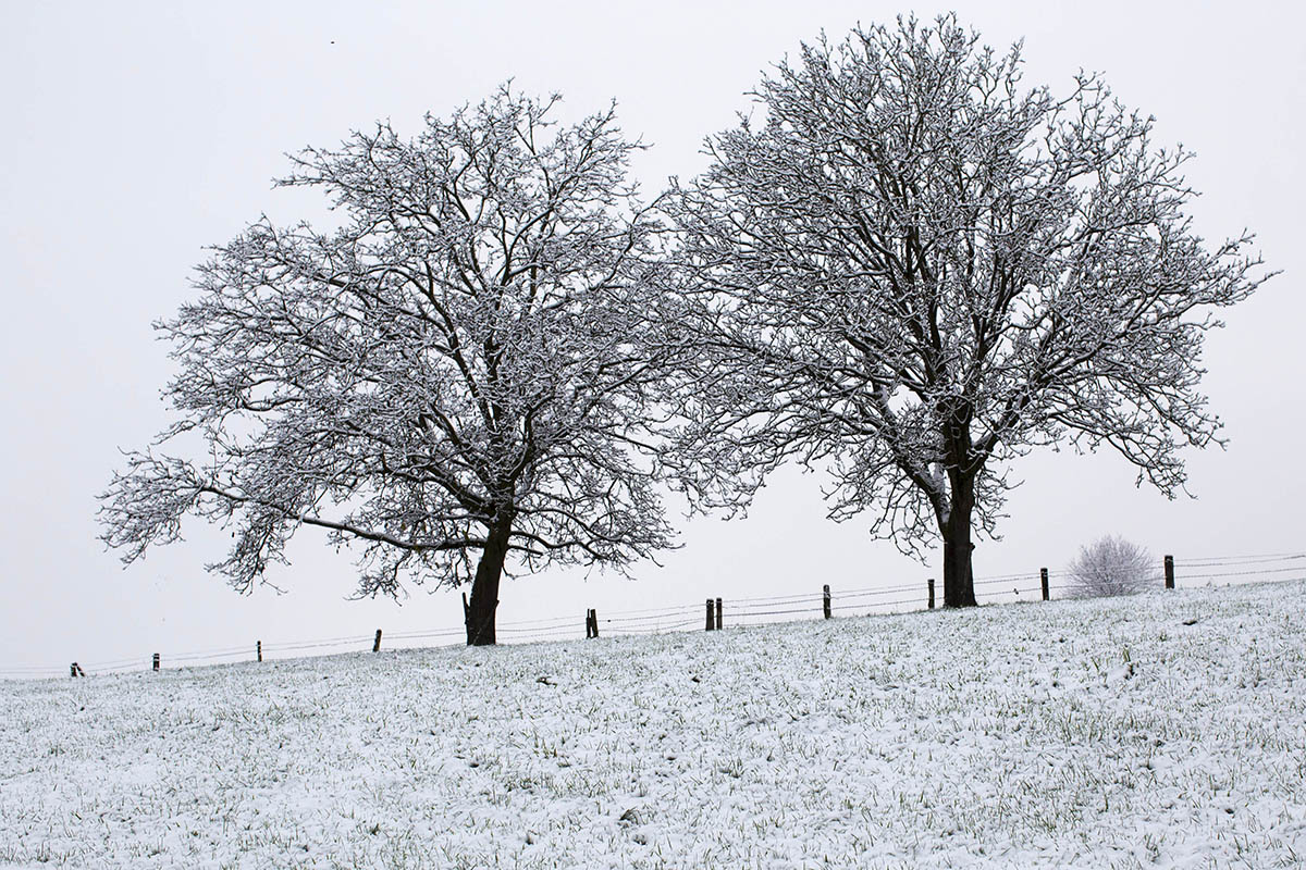 Westerwaldwetter: Am Wochenende stellt sich Dauerfrost ein