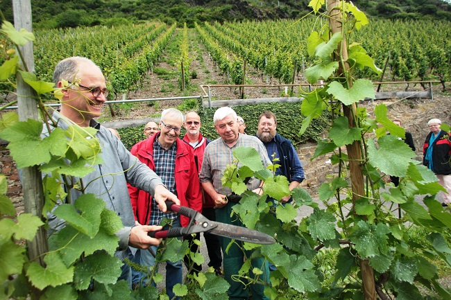 Ein Jahr lang Hobbywinzer sein mit dem gebrtigen Altenkirchener Martin Sturm (links): Dazu ldt die Kreisvolkshochschule ein. (Foto: Kreisvolkshochschule Altenkirchen) 