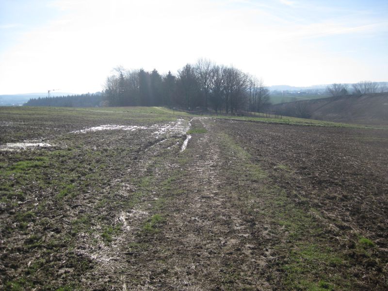 Dieser Feldweg zwischen Montabaur und Dernbach wird so befestigt, dass Fugnger ihn bei jeder Witterung nutzen knnen. Foto: Stadt Montabaur