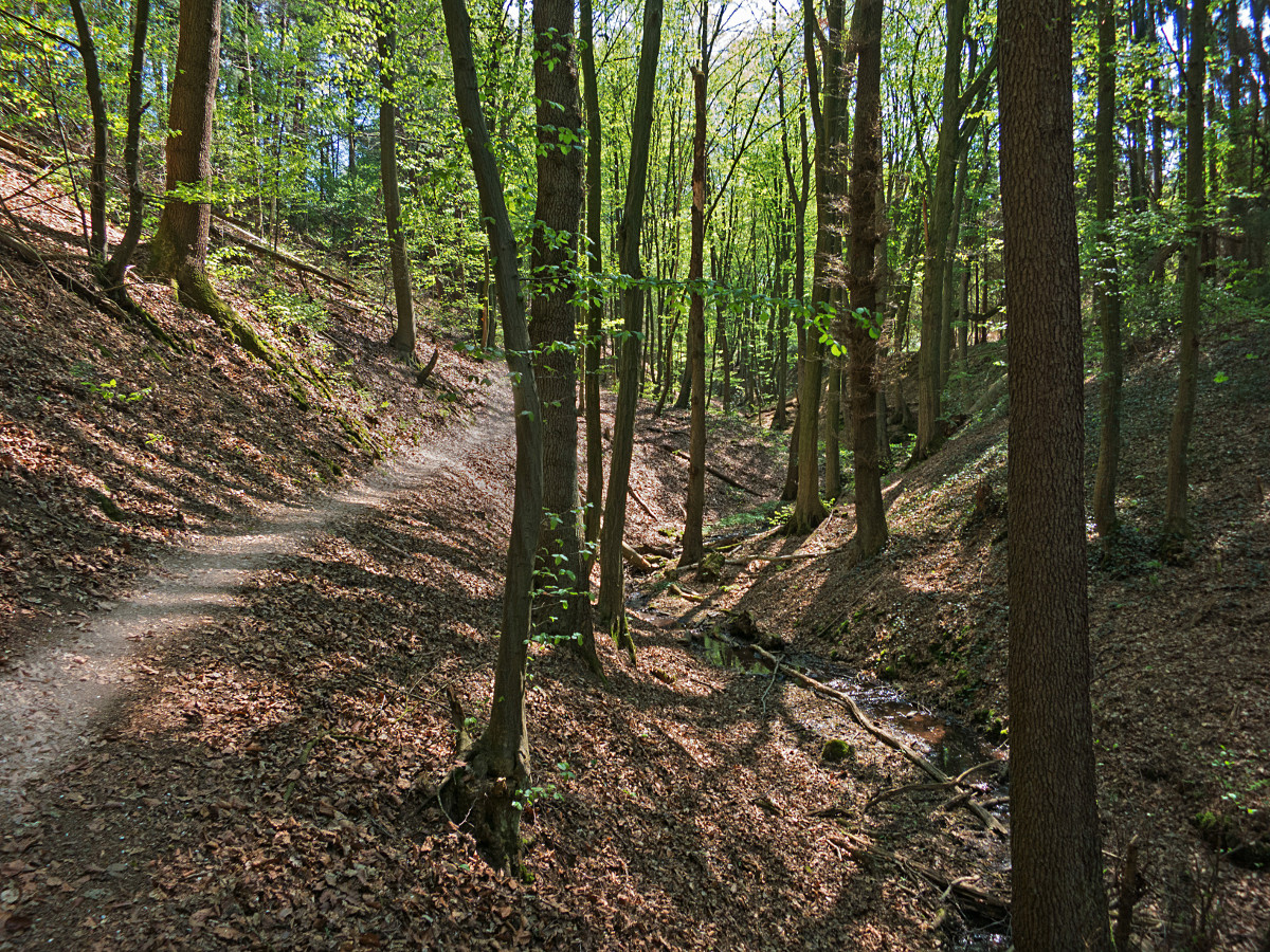 Achtung, Knllchen! Der Auenlandweg ist wieder geffnet, aber das Ordnungsamt hat falschparkende Wanderer im Blick. Foto: VG Wissen