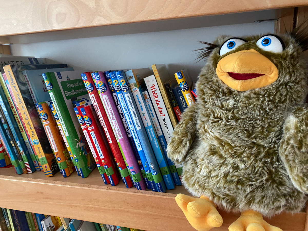 Elli, die Eule, ist das Maskottchen der neuen Kita-Bibliothek der Lebenshilfe im Landkreis Altenkirchen ist erffnet. (Foto: Privat)