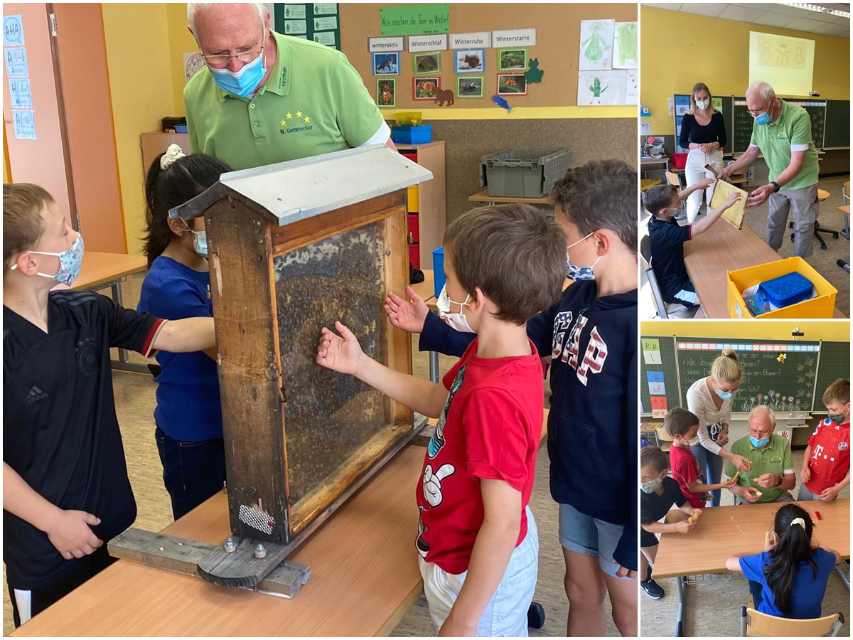 Zur Ganztagsschule gehren Arbeitsgemeinschaften wie hier mit einem Bienenprojekt dazu. Fotos: Franziskus-Grundschule Wissen