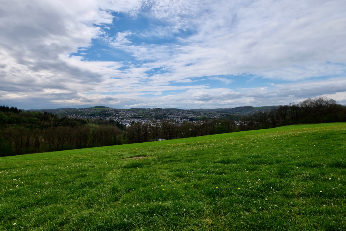 Durch den schnen Misch- und Eichenwald unterhalb des Rdderstein kann zuknftig die fulufige Anbindung des Baugebietes Auf der Sieghhe an die Stadt erfolgen. (Foto: KathaBe) 
