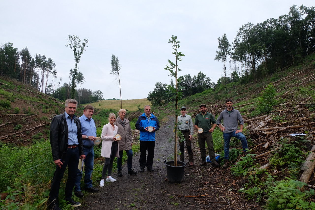 Ein weiterer Spendenbaum wurde gepflanzt. v.l. Wirtschaftsfrderer Markus Rdder, Ulli Jung (bueroboss), Theresa Beib und Petra Loos (Kita Villa Kunterbunt), Brgermeister Berno Neuhoff, Revierleiter Andreas Weber, Michel und Stephan Schrg. (Fotos: KathaBe)