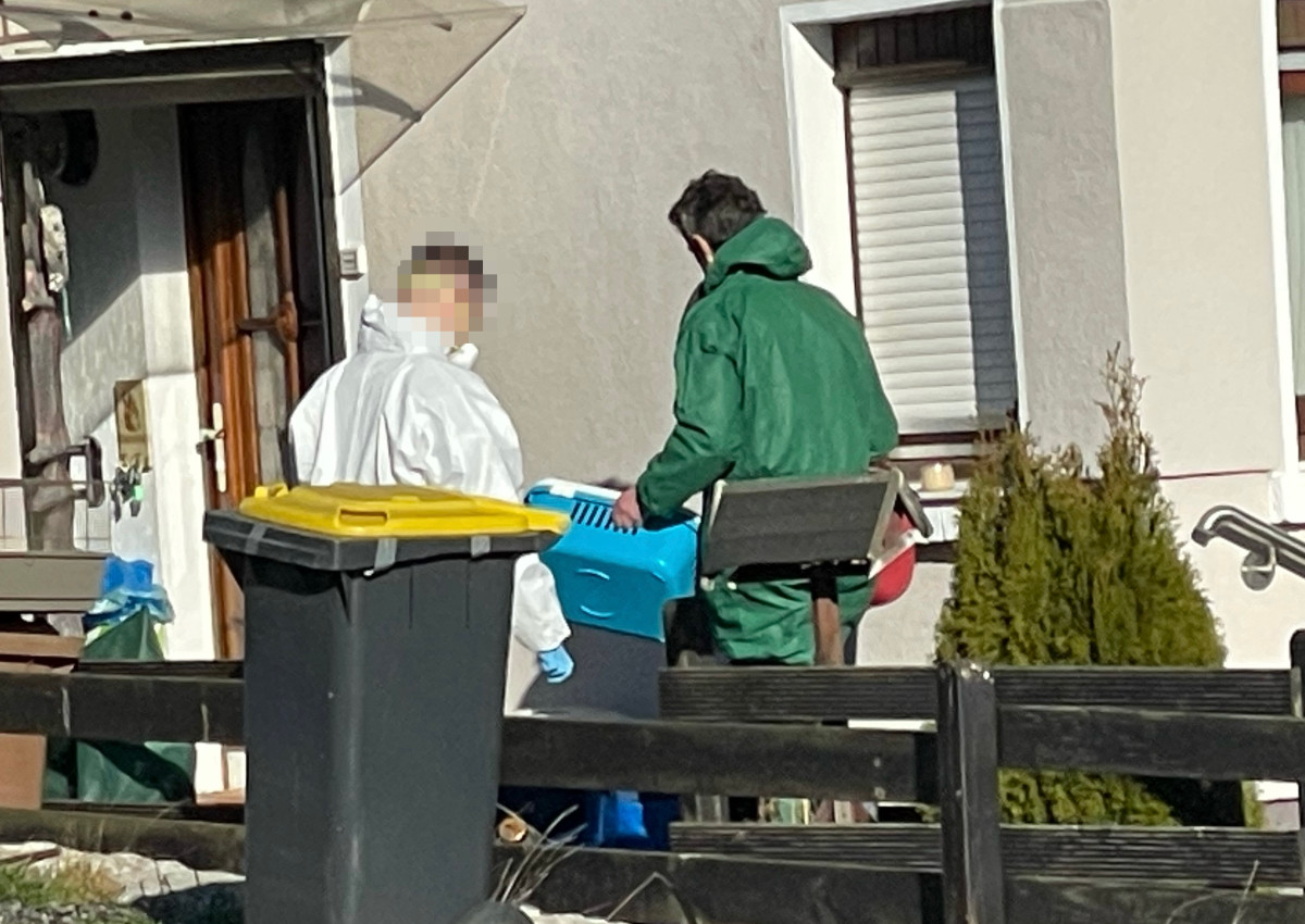 Das Veterinramt hat mehr als 400 weitere Ratten aus dem Rattenhaus in Wissen gerettet. (Fotos: Katharina Behner)