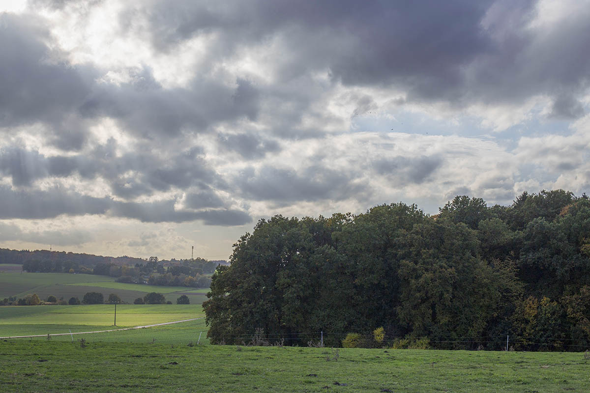 Am Wochenende dominieren die Wolken. Foto: Wolfgang Tischler