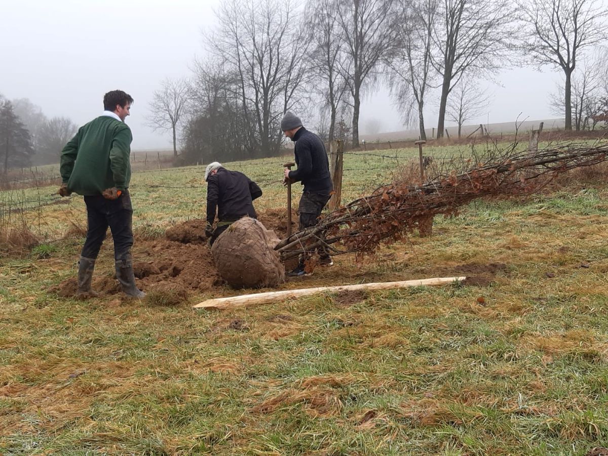 Viel Handarbeit war erforderlich, um die neuen Pflanzen in den Westerwlder Grund und Boden im Skulpturenpark Im Tal anzusiedeln. (Foto: privat)