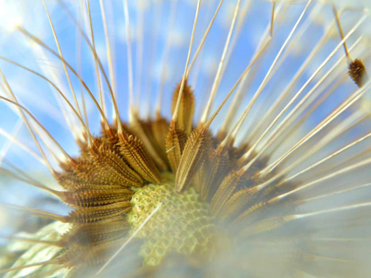 Foto: Pixabay