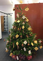 Kinder des Kindergartens Don Bosco schmckten den Weihnachtsbaum in der Westerwald Bank Filiale in Montabaur.  Foto: WW-Bank