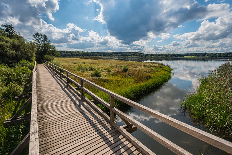 Dreifelder Weiher. Foto: privat