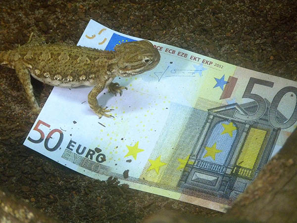 Foto: Zoo Neuwied