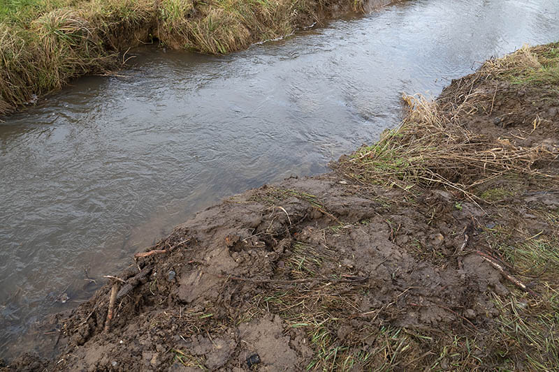 Wo einst Bsche am Bach standen, sind nur noch Wurzelreste zu sehen. Fotos: Wolfgang Tischler