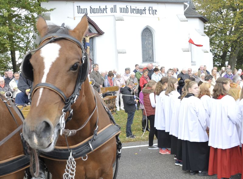 130 Pferde bei der traditionellen Pferdesegnung in Salz