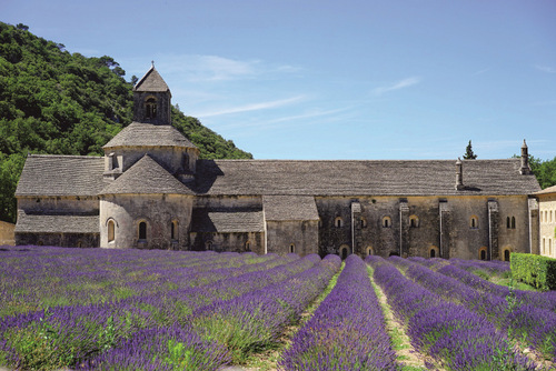 Das Kloster von Snanque, umgeben von Lavendelfeldern, gehrt zu den Stationen der Sdfrankreich-Reise der VHS Betzdorf-Gebhardshain. (Foto: Veranstalter)