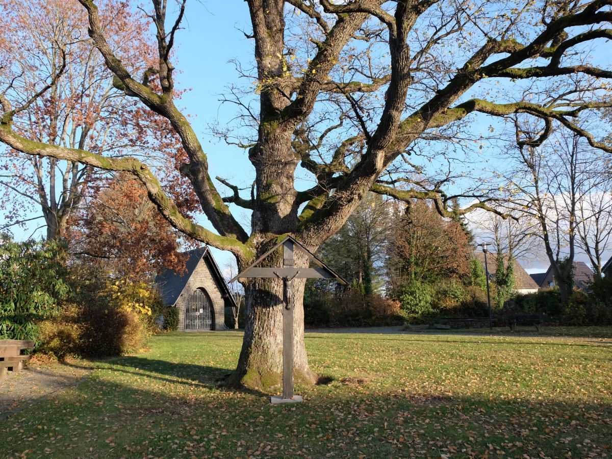 Die Ahl Esch in Birken-Honigsessen vor der Fllung. (Foto: KathaBe)