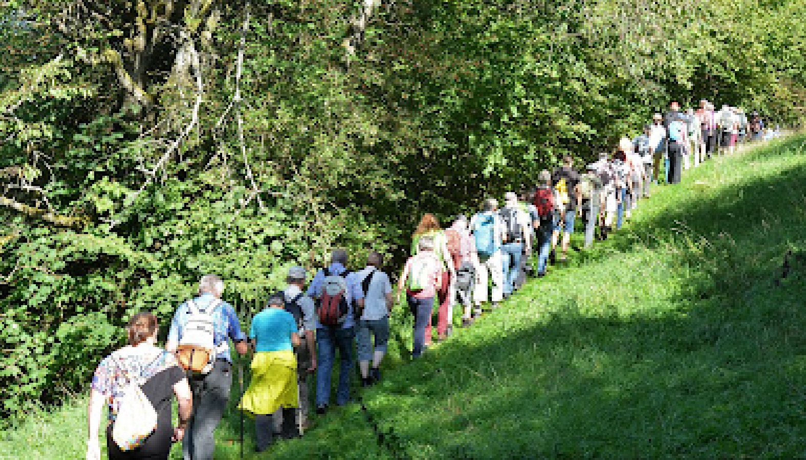 Heimat mal ganz fein: Der Westerwald-Verein ldt ein zu erlebnisreichen Wanderungen