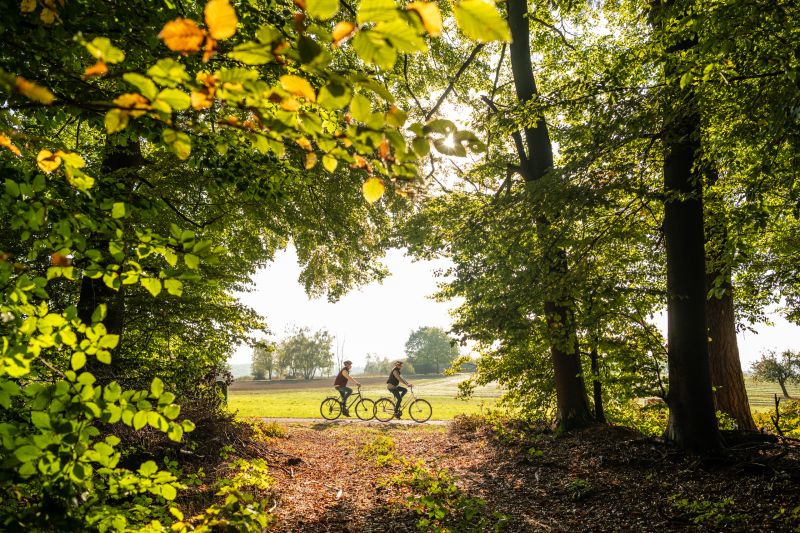 Radfahren mitten im Westerwald. Foto: Dominik Ketz.