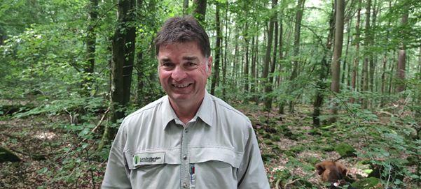 Andreas Schfer im Buchenwald des Nauberges freut sich nach dem Sommerurlaub wieder auf seinen Wald. Foto: Monika Runkel 