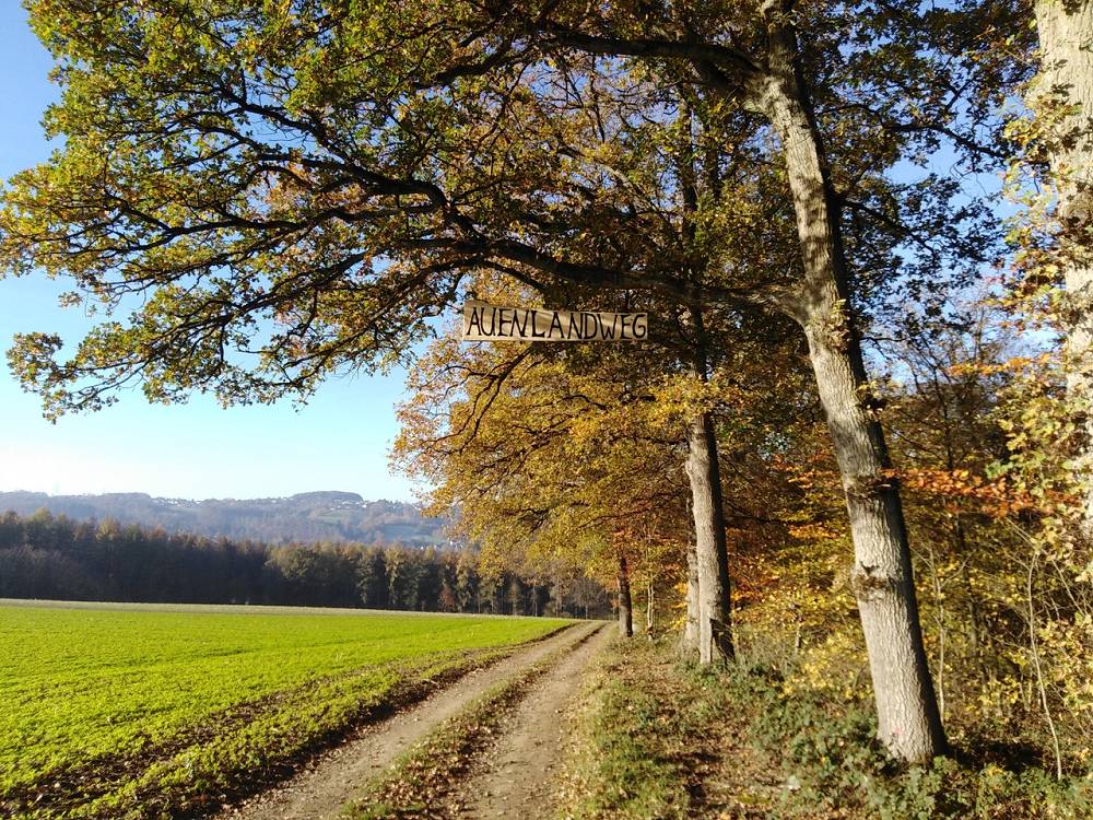 Auenlandweg im Wisserland: Nominiert für "Deutschlands schönsten Wanderweg"