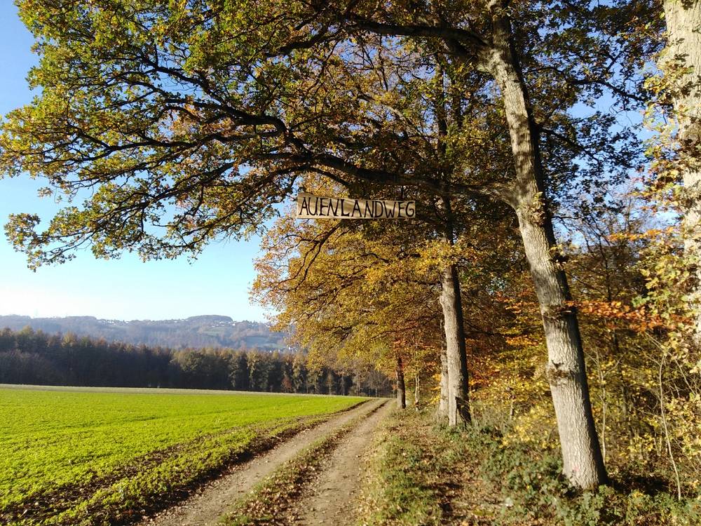 Auenlandweg im Wisserland: Nominiert fr "Deutschlands schnsten Wanderweg"