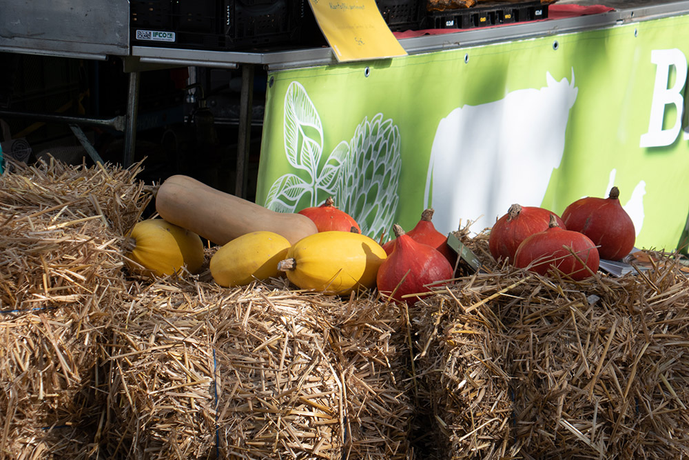 Regionalmarkt Flammersfeld am 10. Oktober: von 10 bis 18 Uhr geöffnet