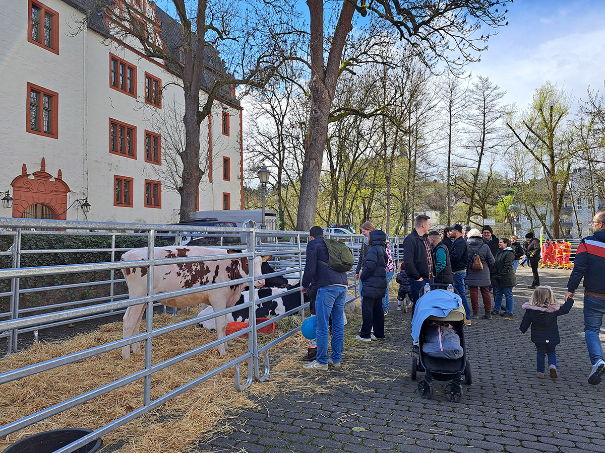 "LandLive" in Hadamar: Familientag mit Handwerk, Kulinarik und Landleben