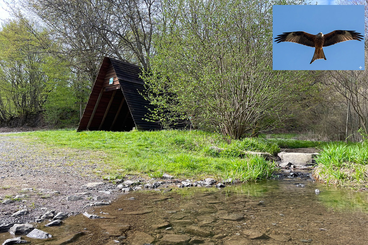 Foto: Ein Blick ins Wippetal � Heimat f�r Arten wie den Rotmilan. (Foto: KathaBe und Daniela Janke)