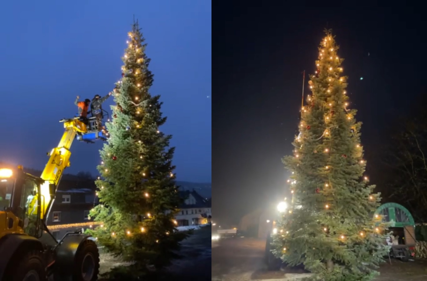 Riesige Edeltanne in Katzwinkel leuchtet zur Weihnachtszeit