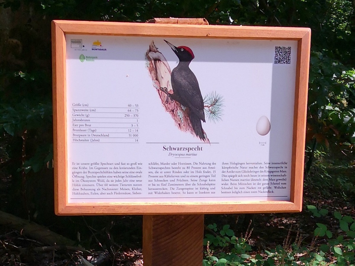 Themenweg zu Vgeln in der Region. (Fotoquelle: Naturpark Nassau)