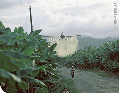 Foto: Weltladen Betzdorf