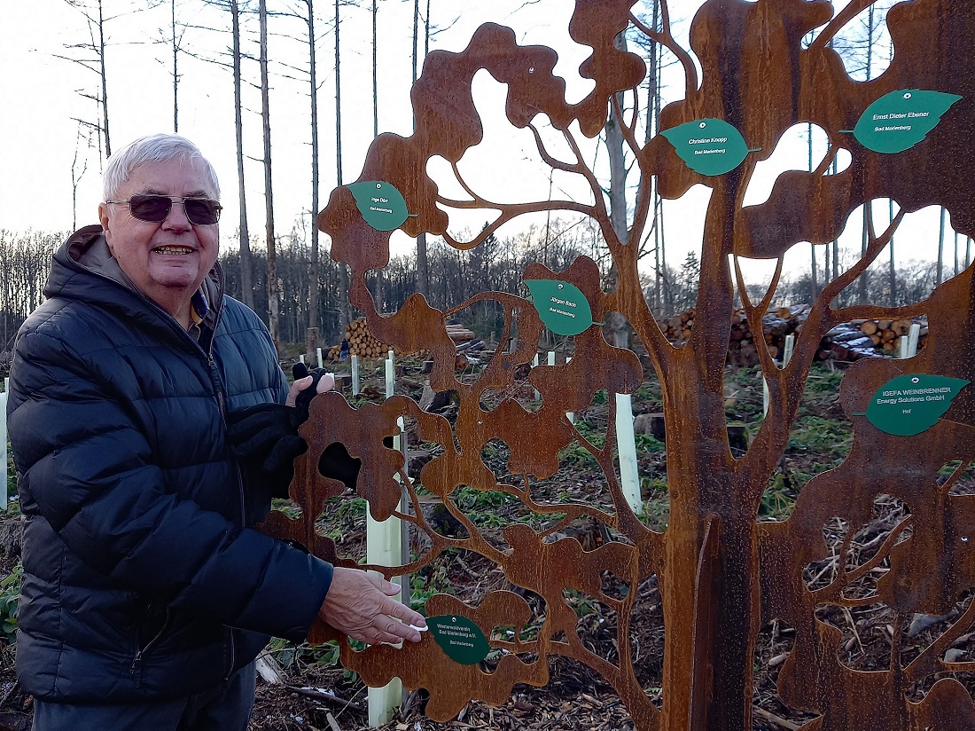 Ein Blatt am Spendenbaum: Bad Marienberg wrdigt alle Spender des neuen Waldes