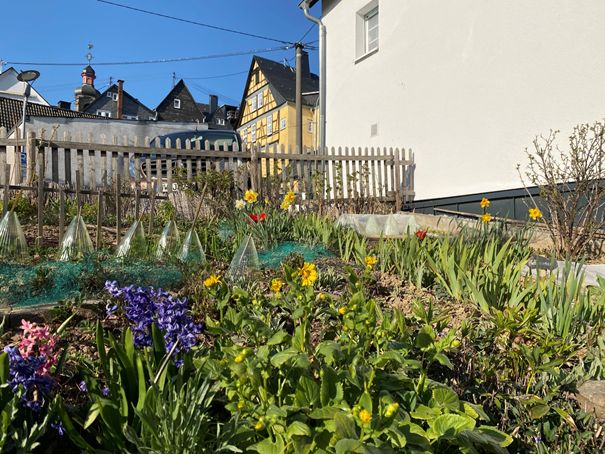 Bauerngarten am Vogtshof Hachenburg. Foto: Stadtverwaltung Hachenburg