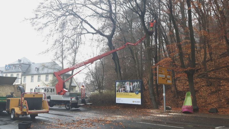 Der mittlere Teil der Bahnhofstrae wird fr Baumpflegearbeiten gesperrt (Archivbild VG Montabaur) 