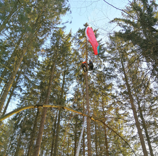 Gleitschirmflieger landete im Baumwipfel 