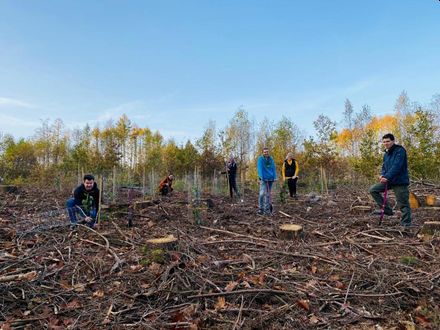 Brgermeister Leukel (links) pflanzt Bume zusammen mit Helfern der Initiative Hachenburg Plastikfrei. Foto: privat