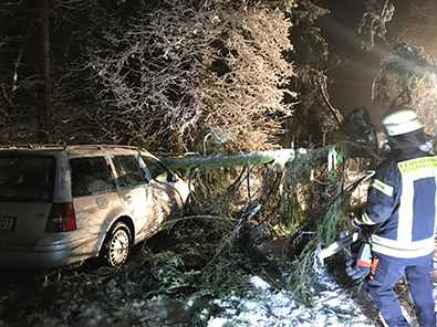 Fotos: Feuerwehr Steinebach