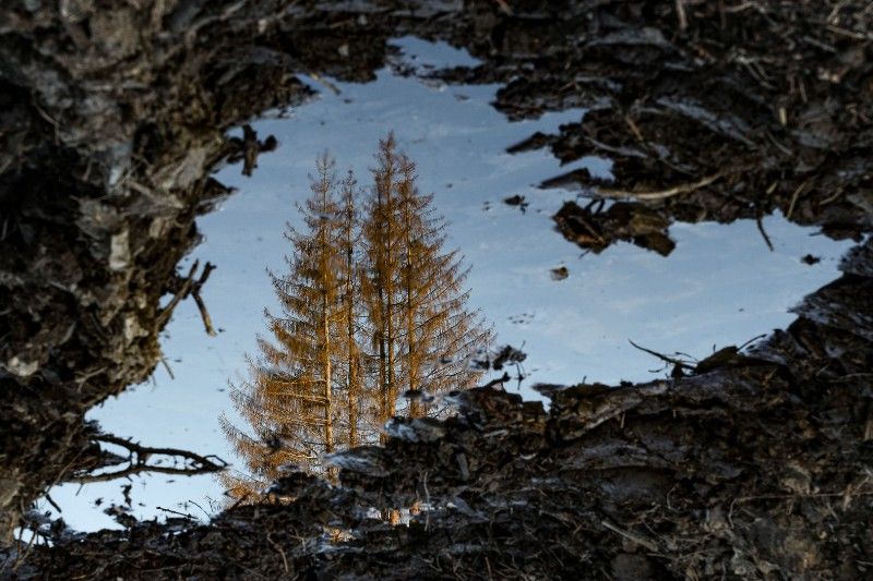 Ausstellung im Internet: Fotos zeigen Schden im Westerwald